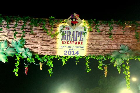 The Grape Escapade - Download Goa Photos